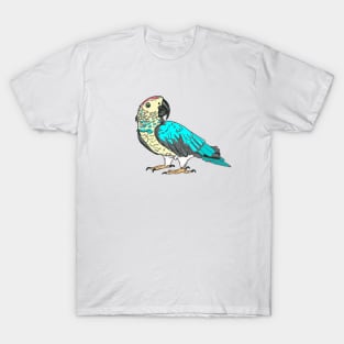 Parrot T-Shirt